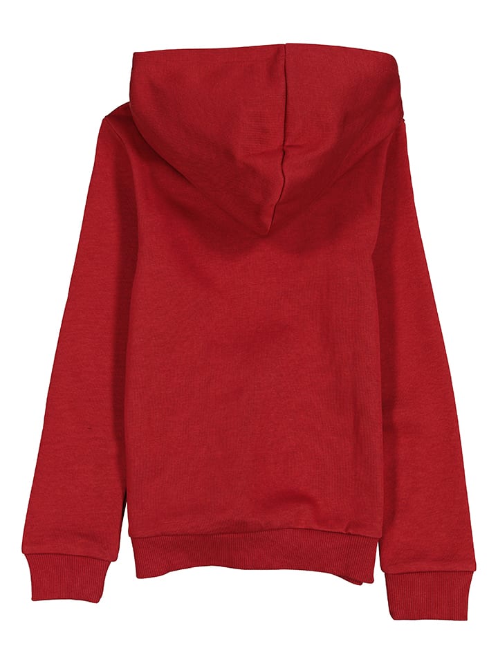 Puma Hoodie 