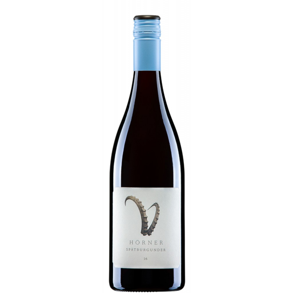 2018 'Steinbock' Pinot Noir trocken