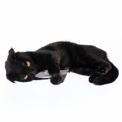TIAKI Katzenspielzeug Filz-Eule mit Katzenminze
