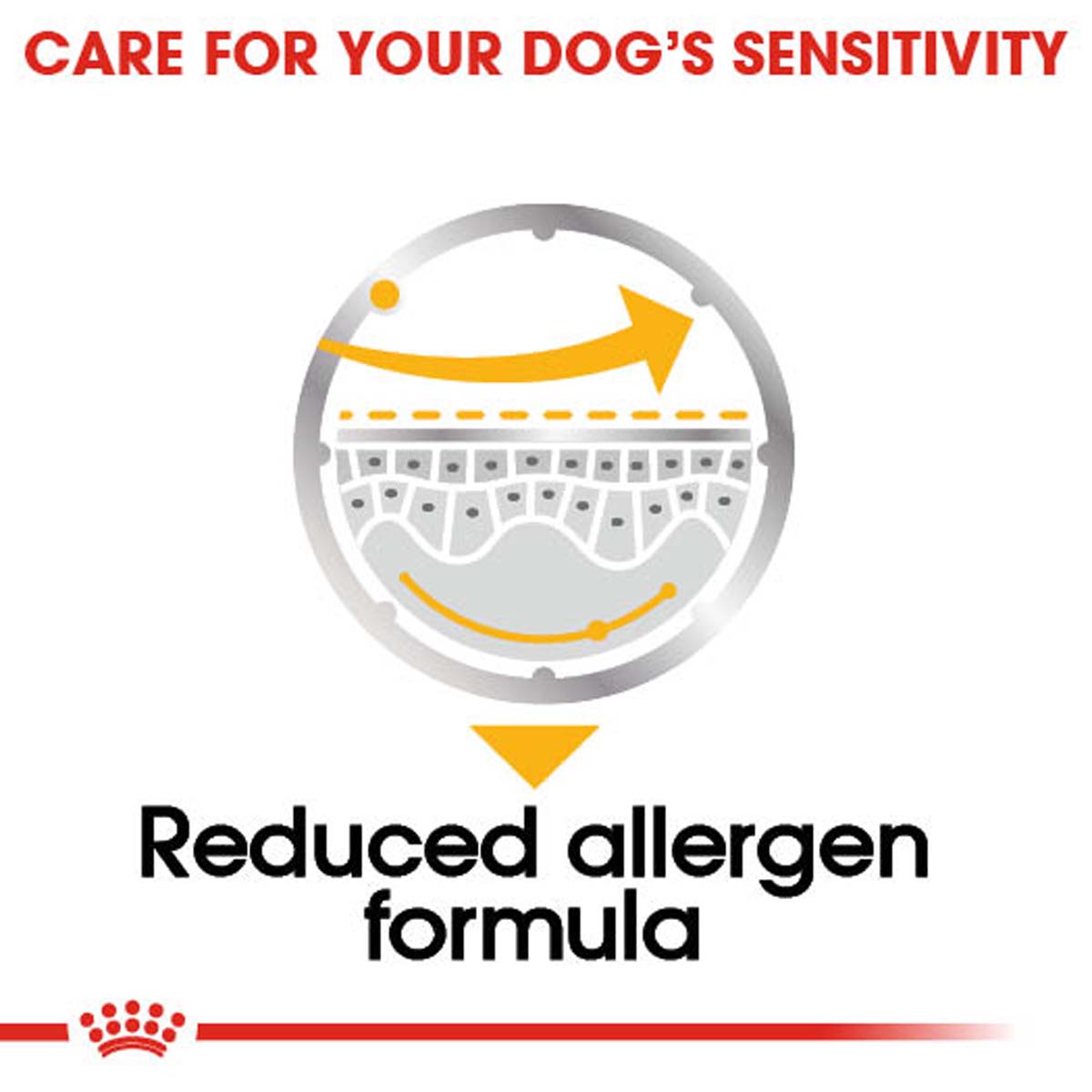ROYAL CANIN DERMACOMFORT Nassfutter für Hunde mit empfindlicher Haut 12x85g