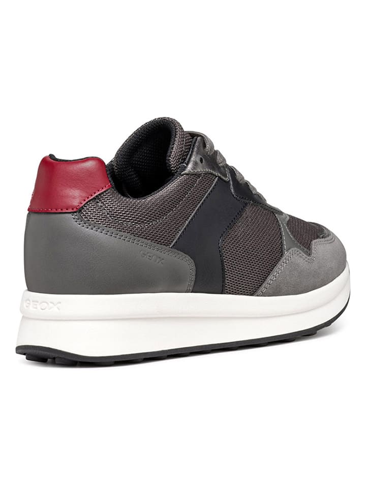 Geox Sneakers 