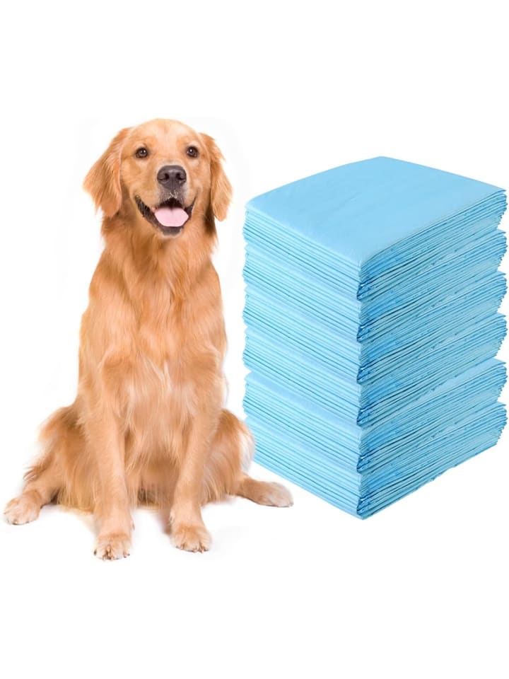 COSTWAY Trainingsunterlagen Hunde 100 Stück in Blau günstig kaufen 100 cm