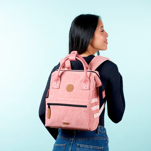 Adventurer Small Backpack, Gold Coast Pink