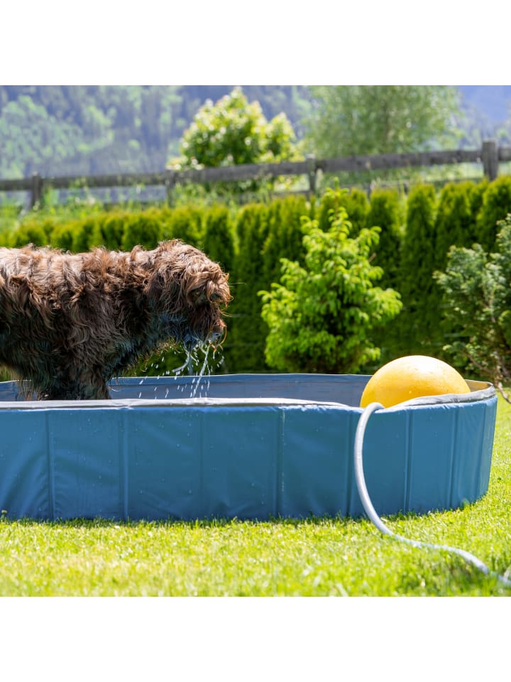 relaxdays Hundepool in Blau - (H)30 x Ø 160 cm günstig kaufen onesize