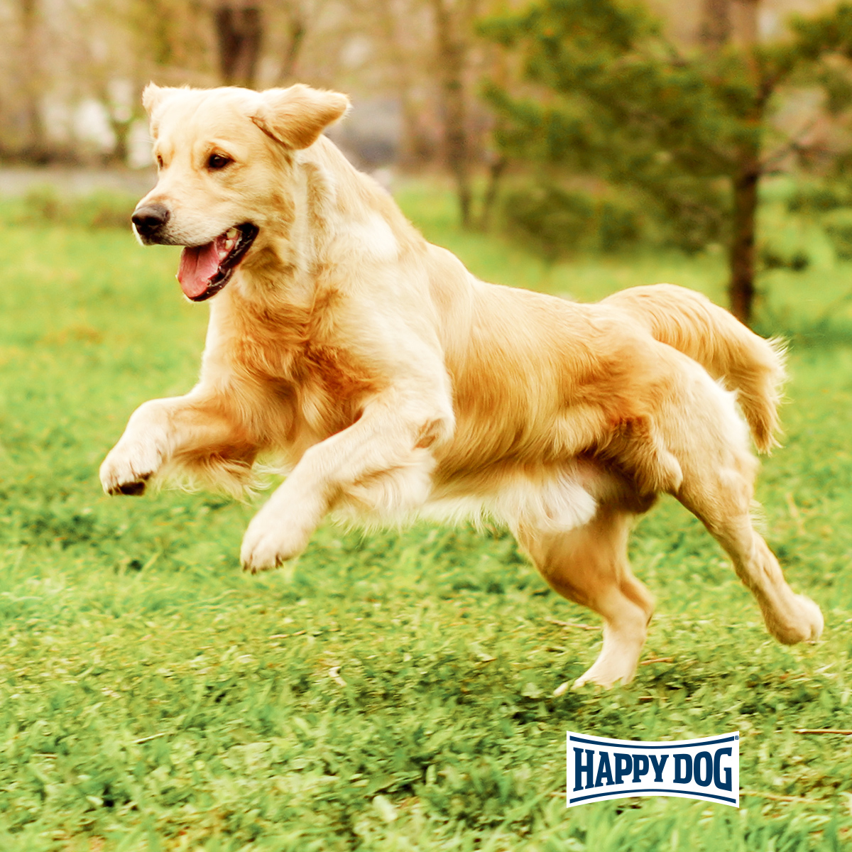 Happy Dog Supreme fit & vital Maxi Adult kaufen bei ZooRoyal
