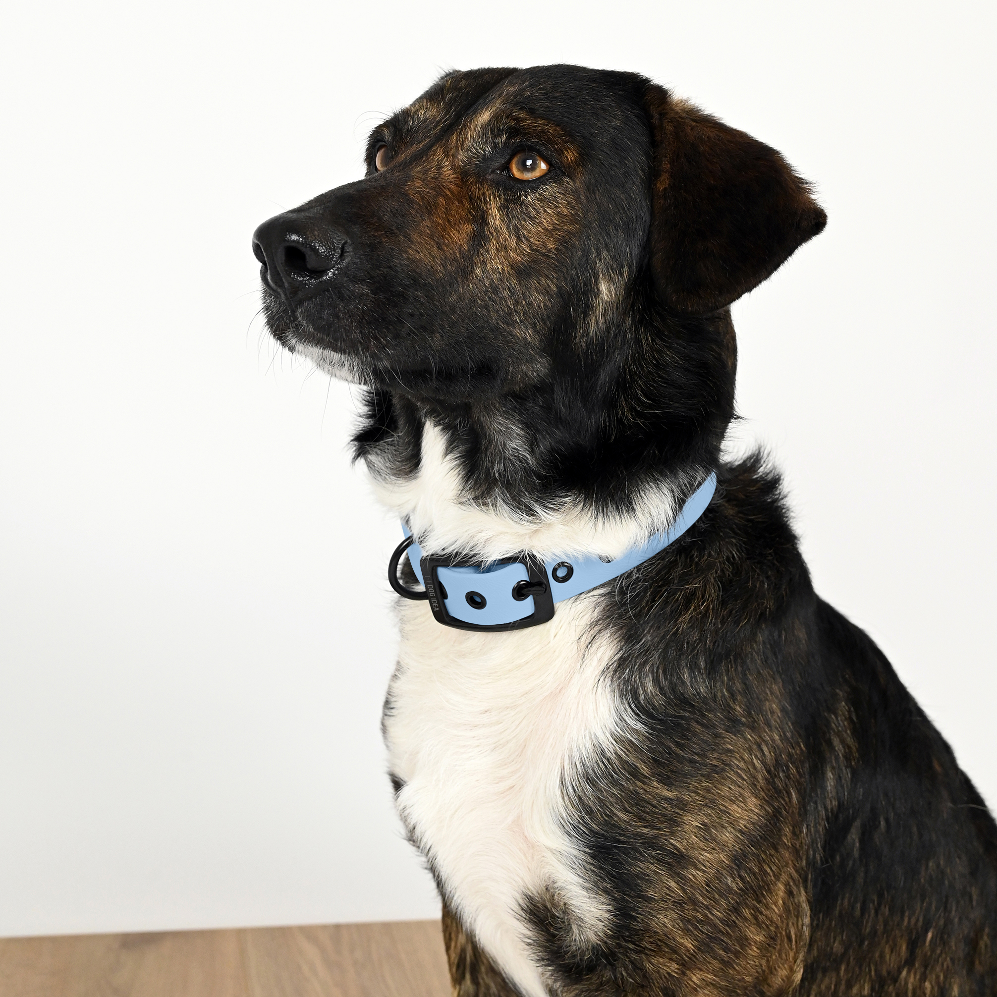 THE DOG IDEA Hundehalsbänder THE DOG IDEA Biothane Halsband Hellblau Schwarz XXL