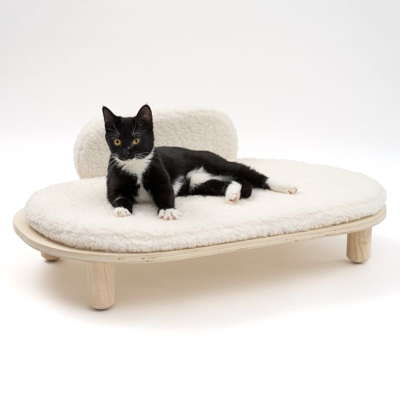 Modern Living Sofa Osaka zu TOP-Preisen
