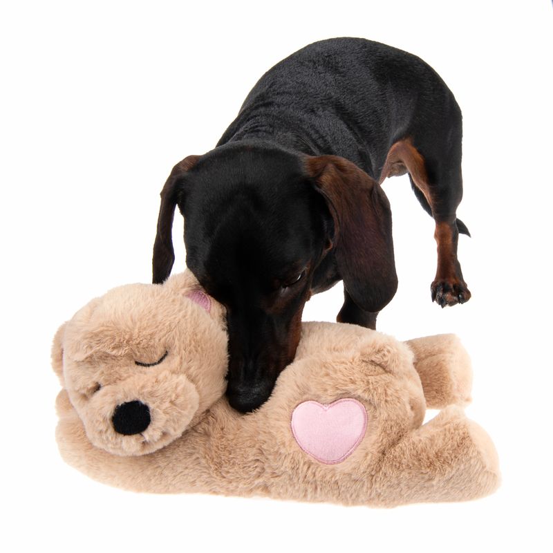 Hundespielzeug Mr. Snugglez zu TOP-Preisen
