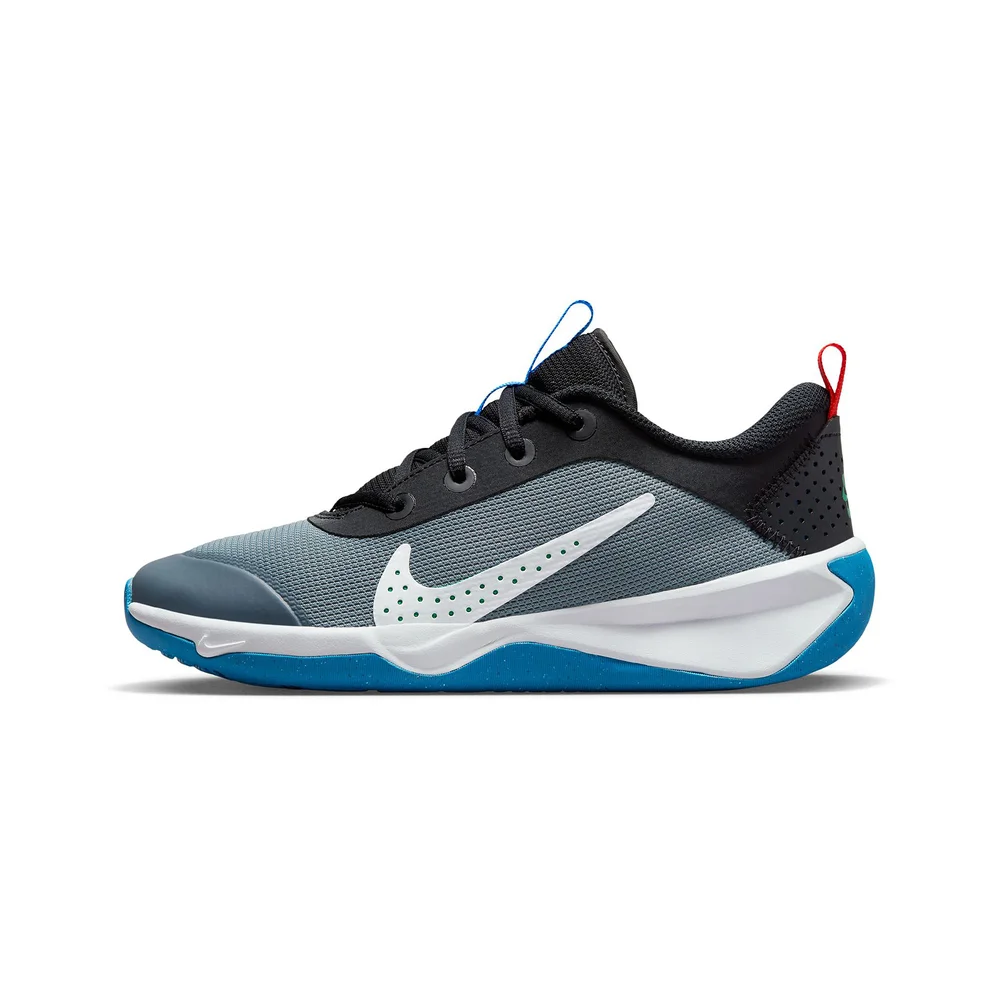 Nike Omni Multi Court DM9027-006 / grau