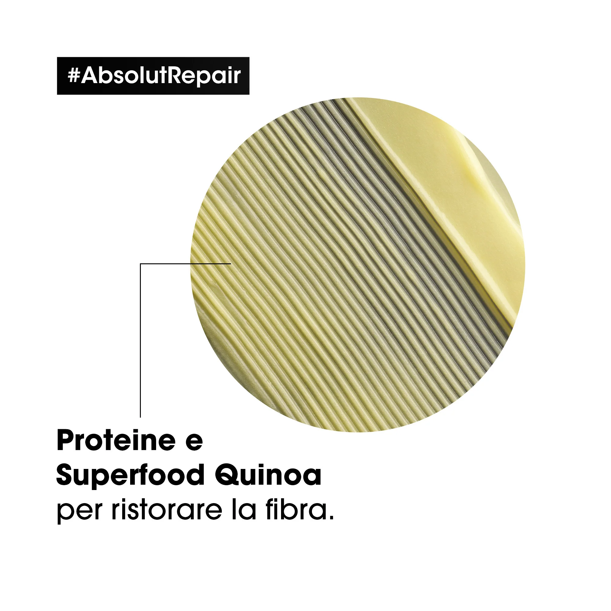 Serie Expertos: Nuevo acondicionador Absolut Repair - Acondicionador reparador para el cabello