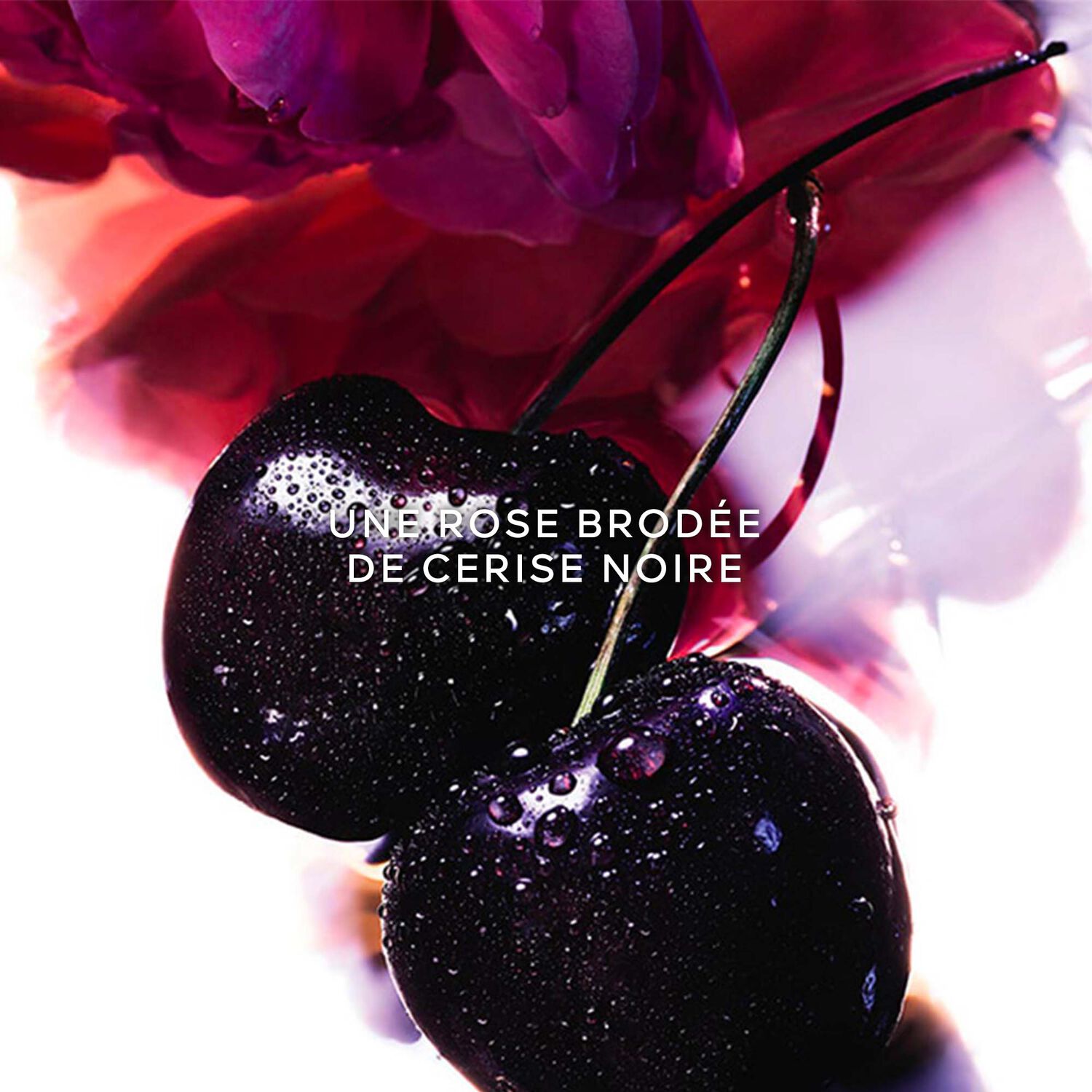 Guerlain LA PETITE ROBE NOIRE Coffret Eau de Parfum 50ml et une Miniature 5ml + Lait Corps 75ml