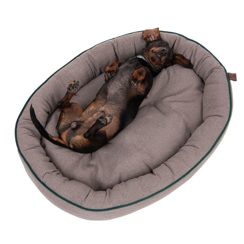 Modern Living Hundebett London Antibakteriell