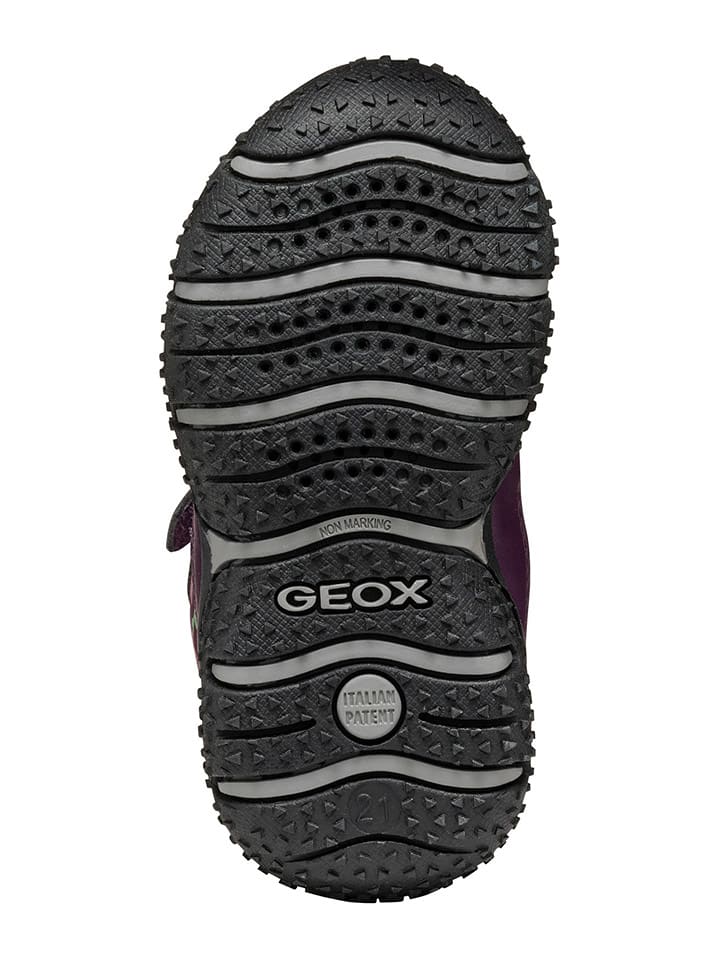 Geox Boots 