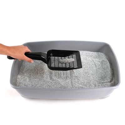 Ever Clean® Total Cover Klumpstreu - Parfümfrei