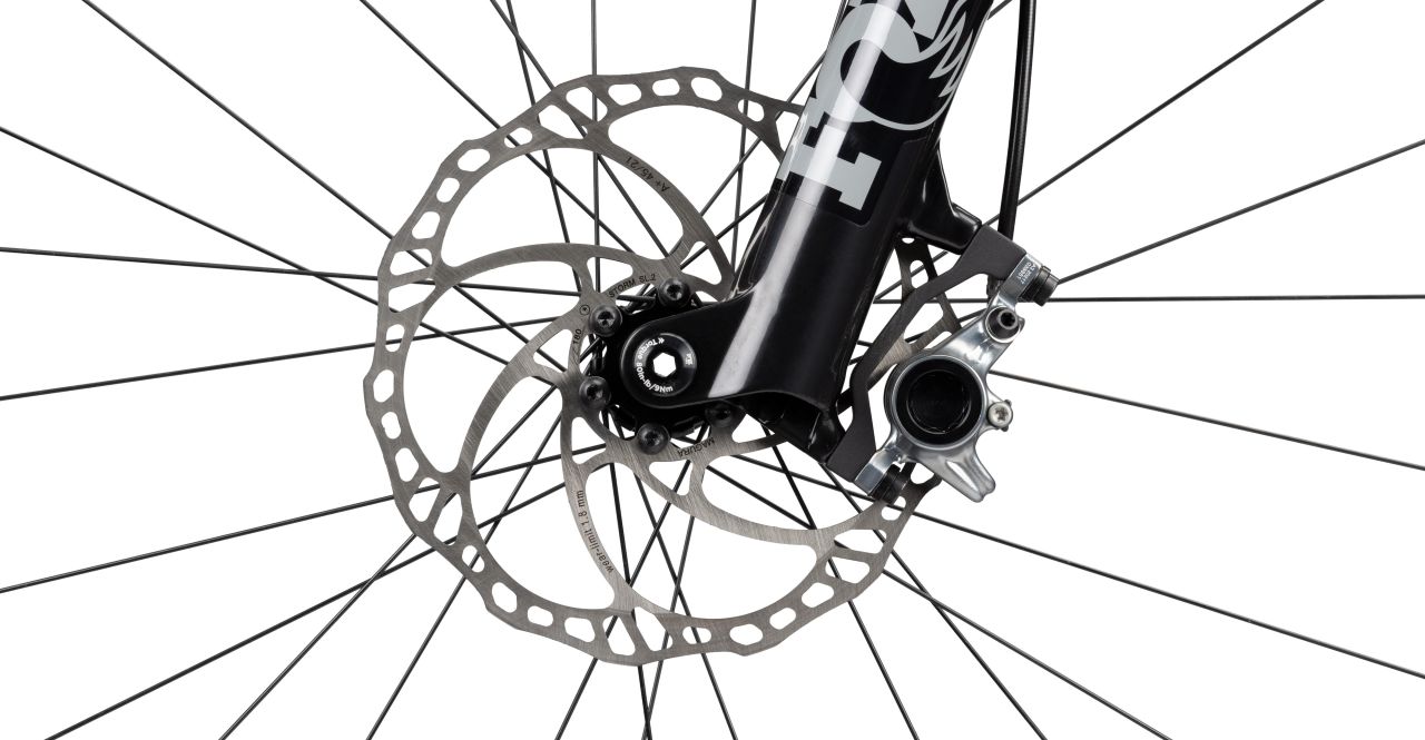 Radon Jealous 10.0 EA kaufen | Bike-Discount