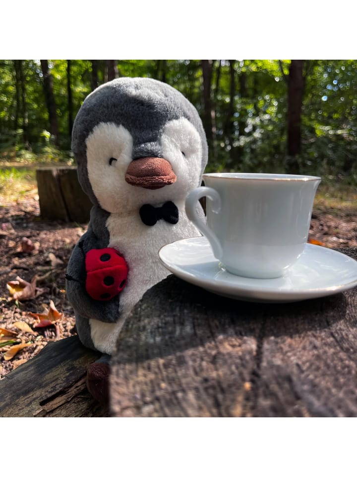 Mr. & Mrs. Panda Kuscheltier Pinguin Marienkäfer mit Spruch in Grau Pastell günstig kaufen onesize