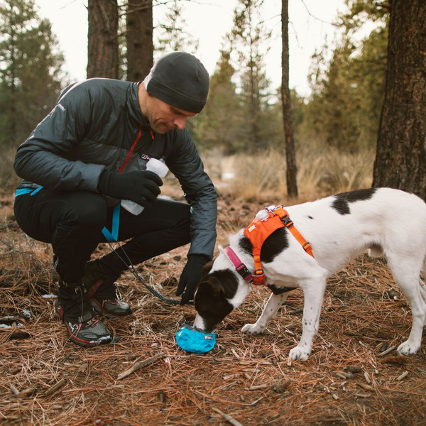 TRAIL RUNNER BOWL - Hundezubehör