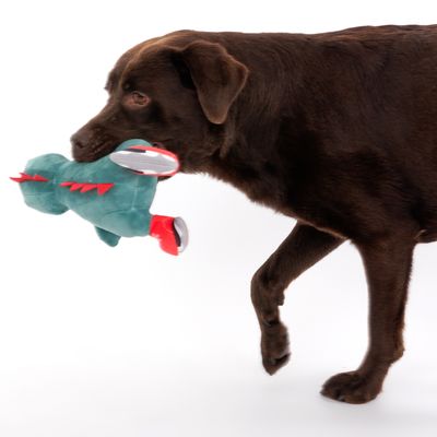 TIAKI Hundespielzeug Dino mit Schlittschuhen