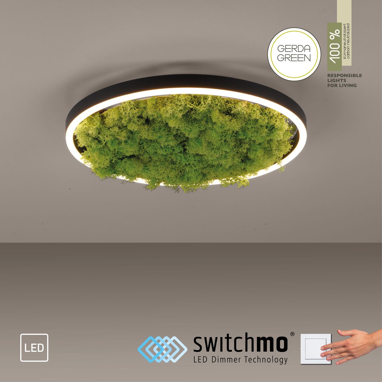 JUST LIGHT LED Deckenleuchte GREEN RITUS, 3-Stufen-Dimmer, echtes Moos, Ø39,3cm