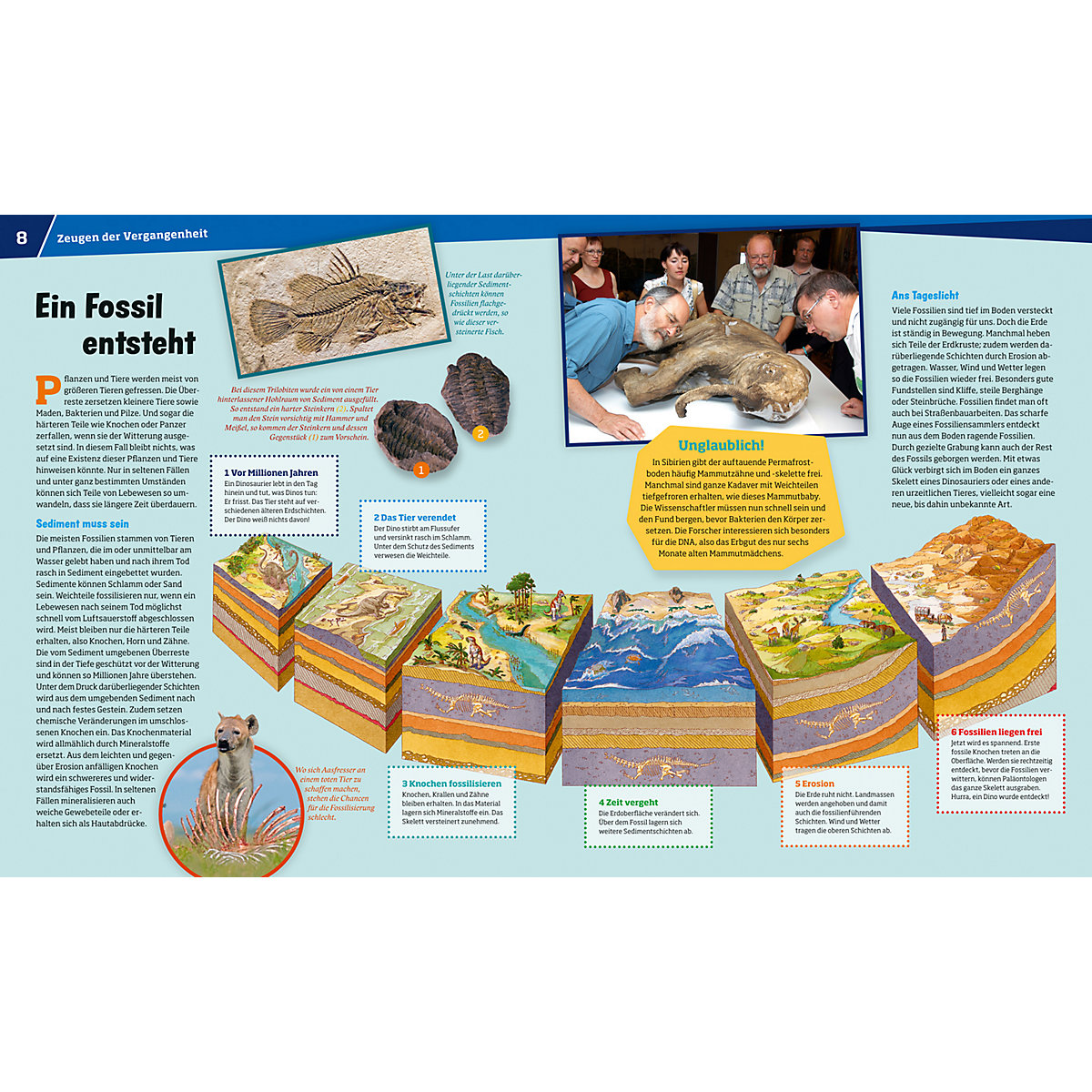 Was ist Was: Fossilien - Spuren des Lebens