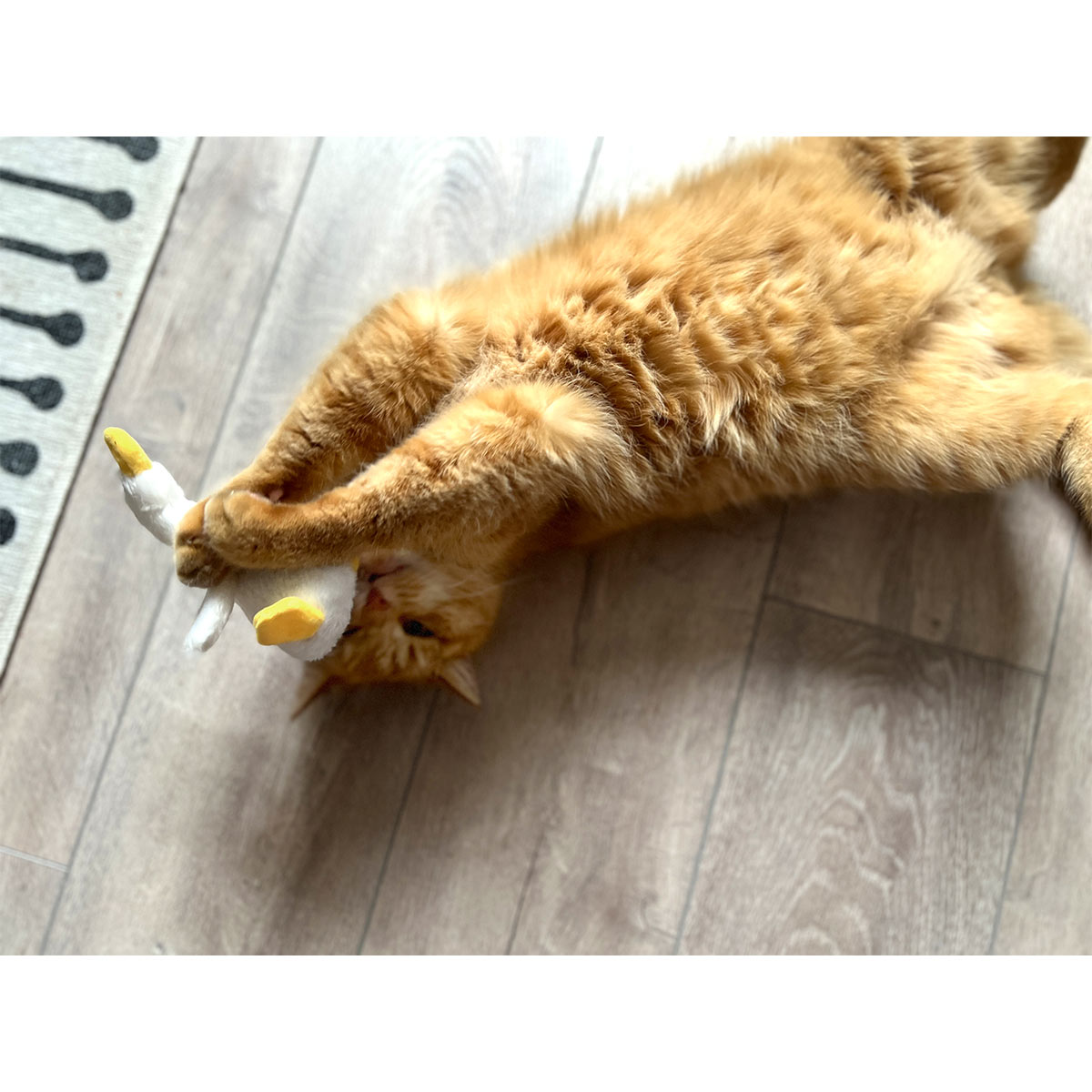 Aumüller Katzenspielkissen Gilbert Gans kaufen