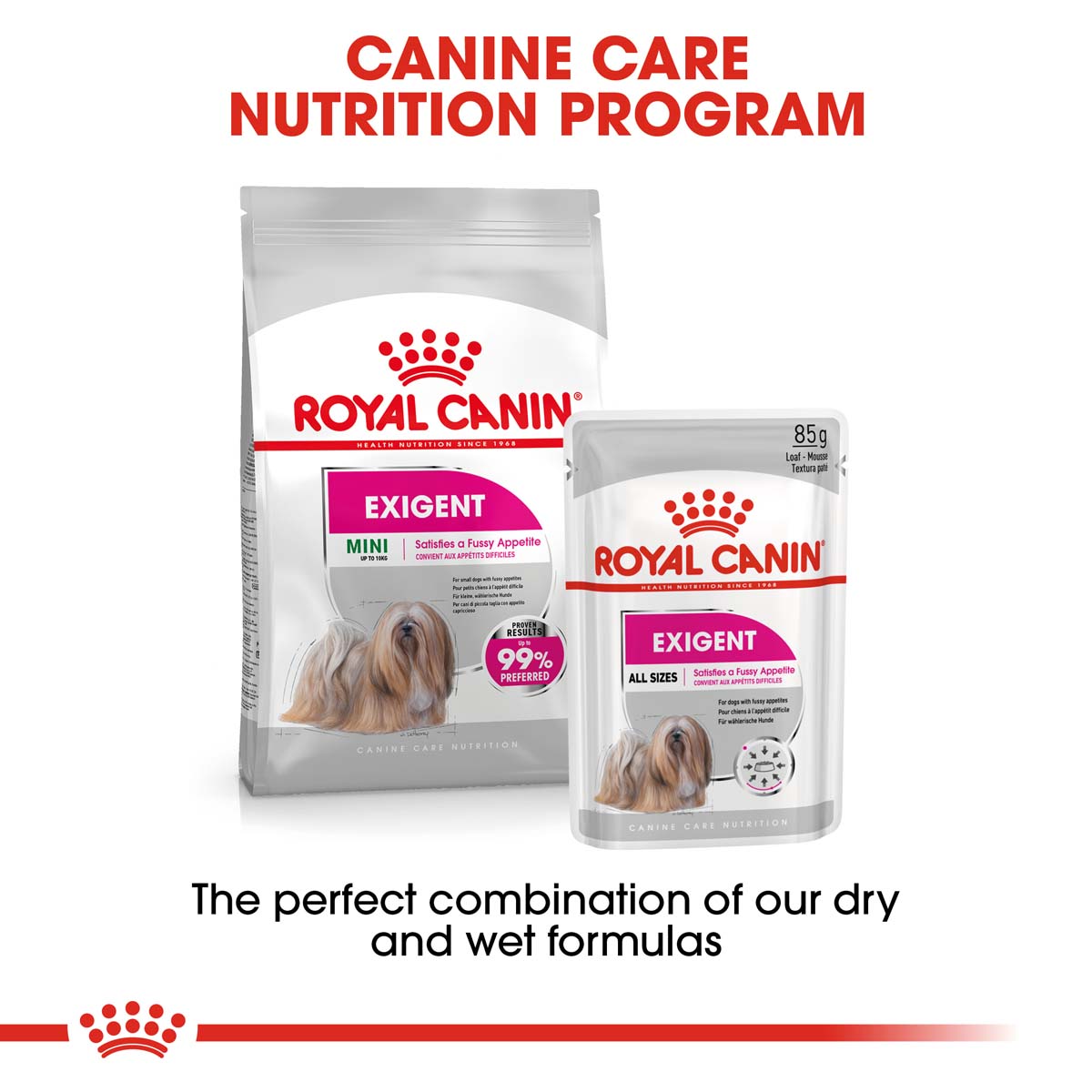 ROYAL CANIN EXIGENT Nassfutter für wählerische Hunde 12x85g