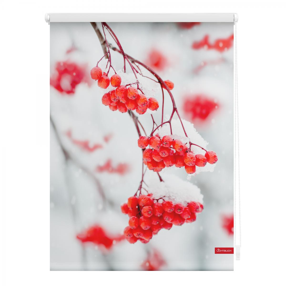 Lichtblick Rollo Klemmfix, ohne Bohren, blickdicht, Vogelbeeren - Rot Weiß, 60 cm x 150 cm (B x L)