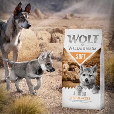 Wolf of Wilderness Junior 