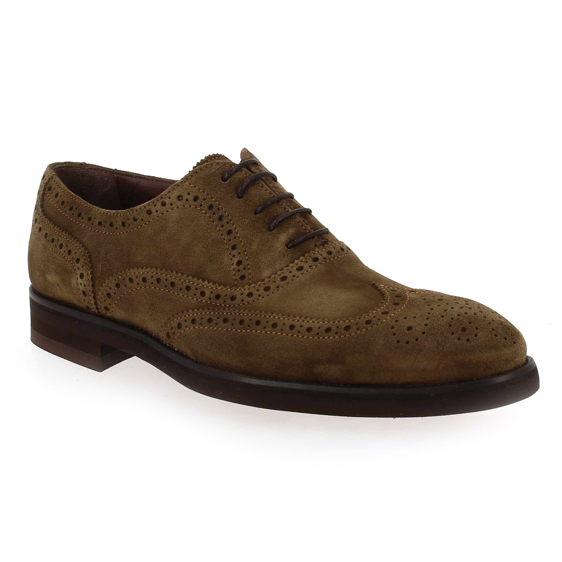 Paco Milan  3491 177 - marron