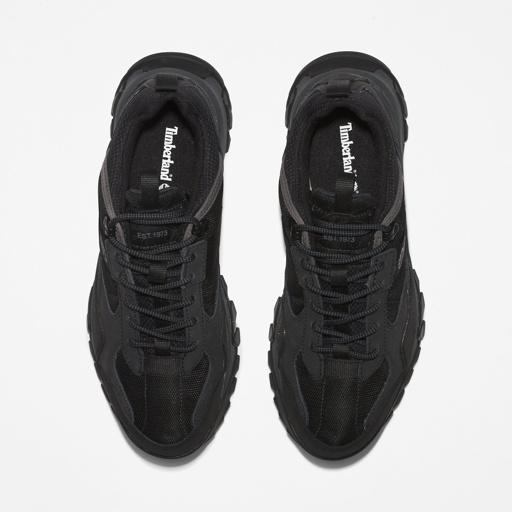 Timberland Lincoln Peak Low GTX TB0A44DK0151 / schwarz