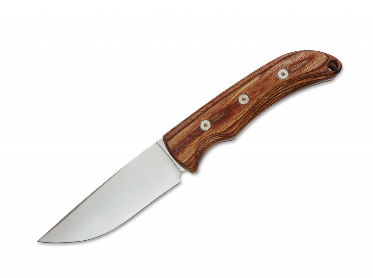 Robeson Drop Point Hunter