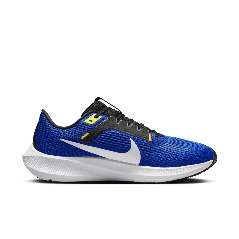 Nike Air Zoom Pegasus 40 DV3853-401 / blau