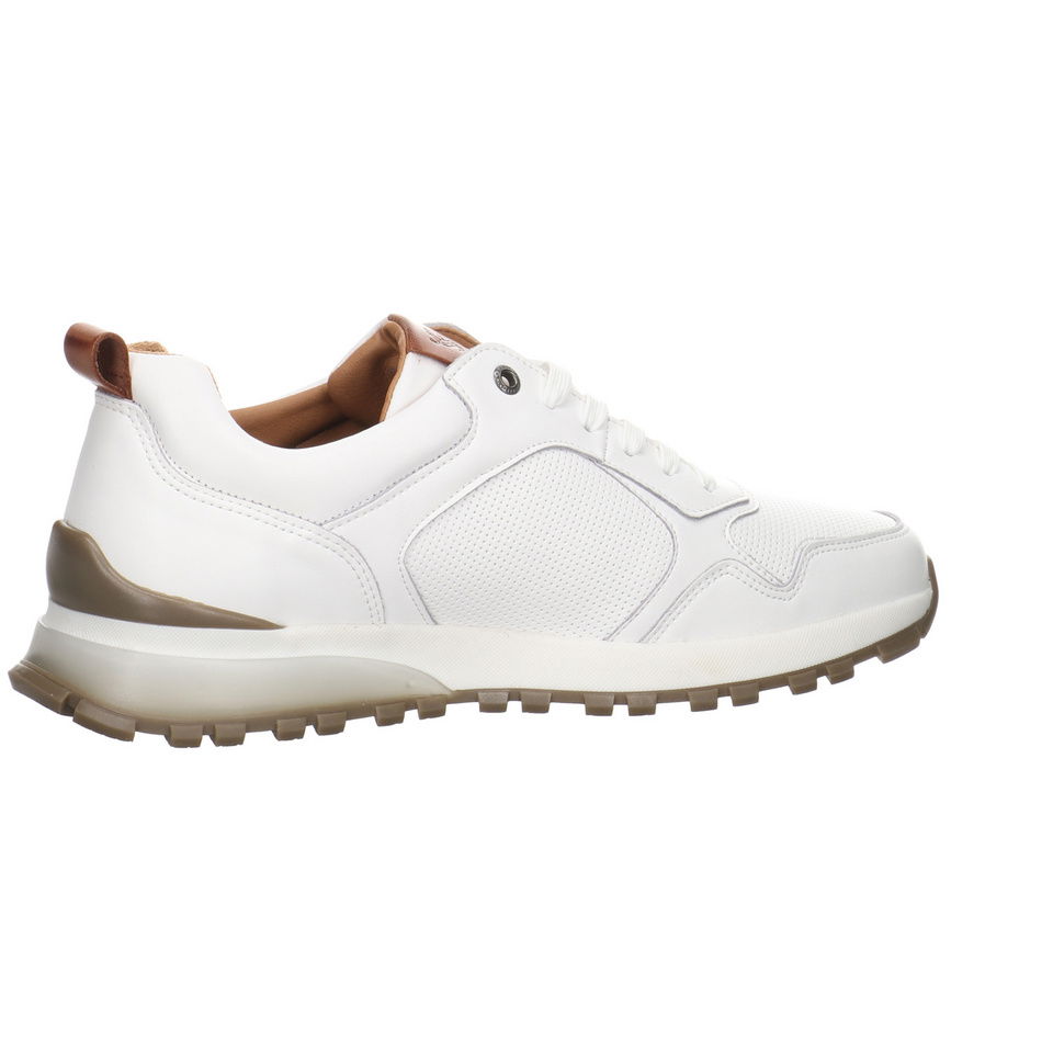 SALAMANDER Leano Sneaker