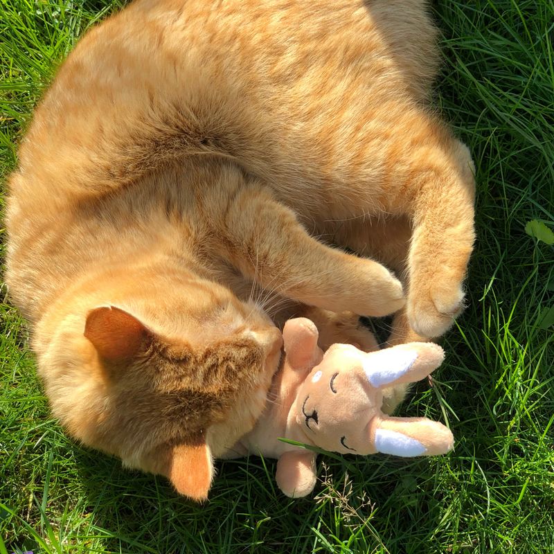 Aumüller Baldi-Bunny Schmusehase zu TOP-Preisen