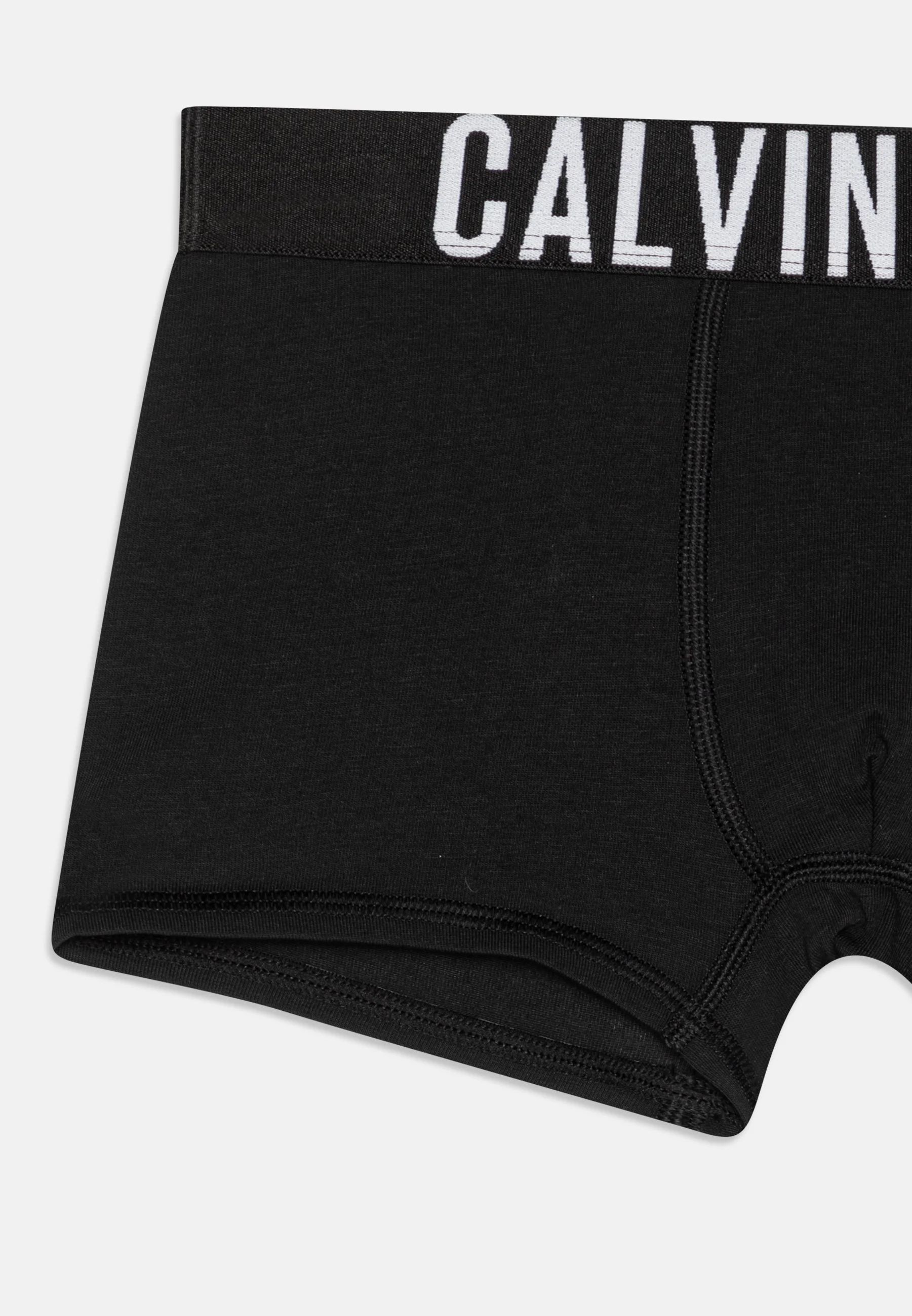 Calvin Klein Underwear TRUNK PACK DE 2 - Culotte
