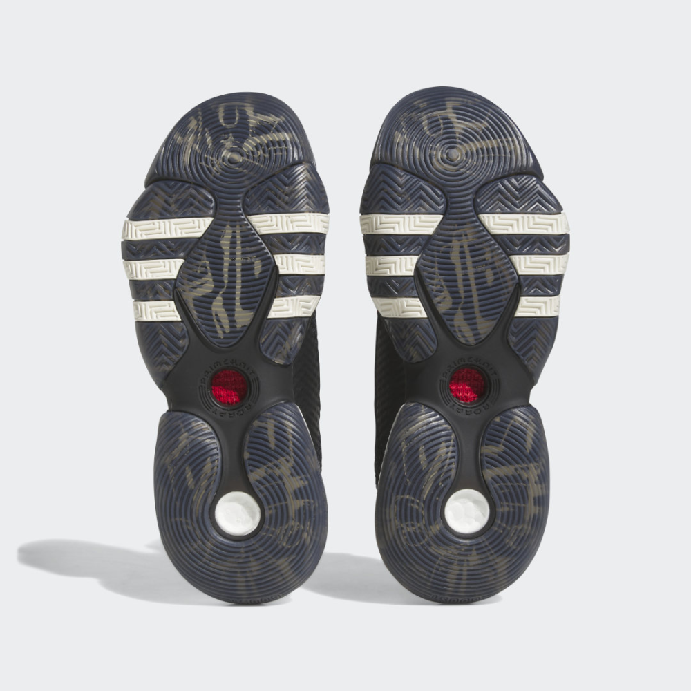adidas Trae Young 2 IF2163 / schwarz