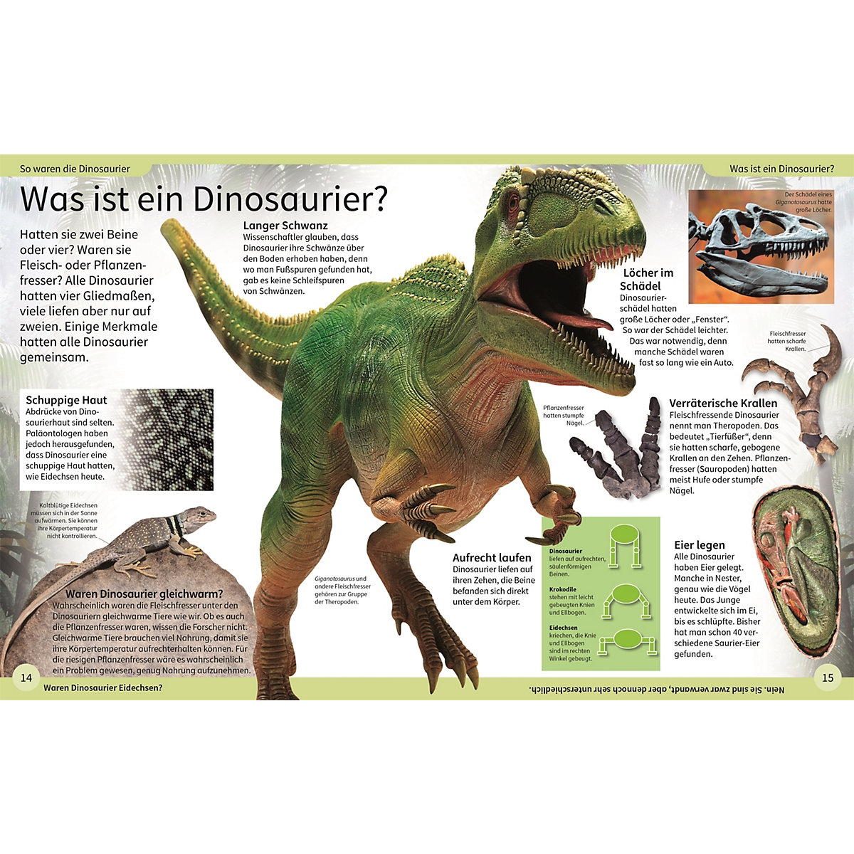 DK Kinderlexikon. Dinosaurier