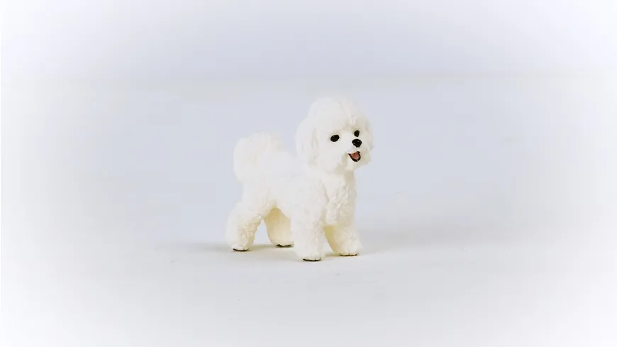Schleich 13963 - Farm World - Bichon Frisé