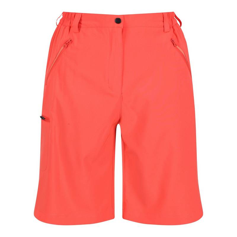 Regatta Xert It Shorts Damen