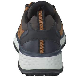 Geox Sneaker in braun