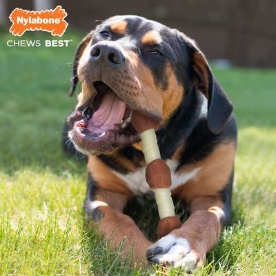 Nylabone Shish Kebab Hühnerkauknochen