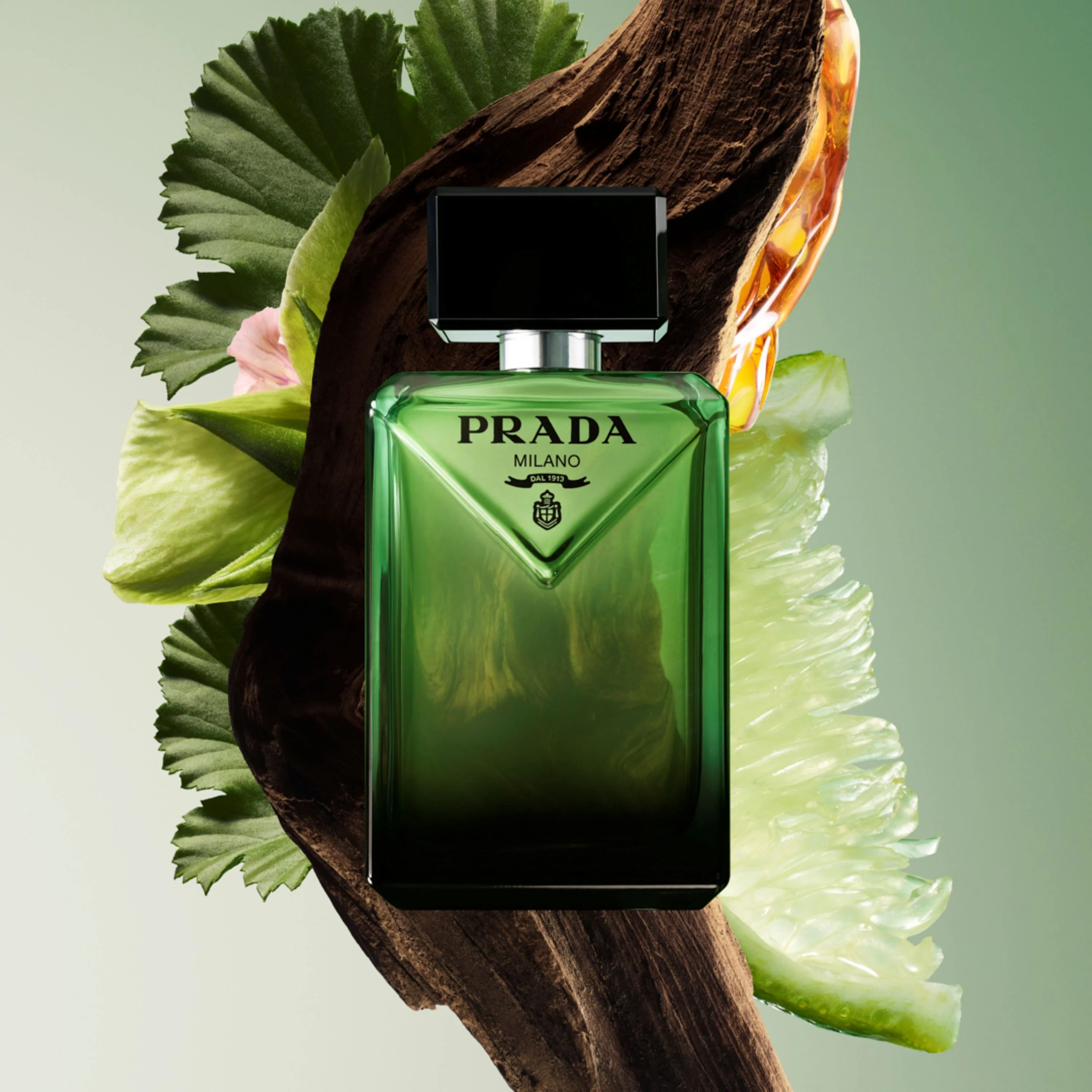 Paradigme Paradigme - Eau de Parfum