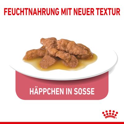 Royal Canin Indoor Sterilised 7+ in Soße