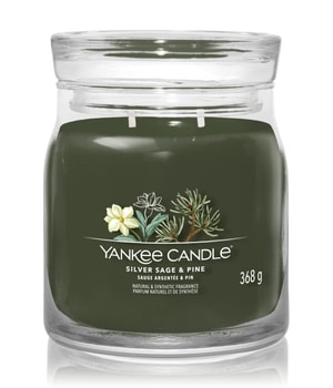 Yankee Candle Siver Sage & Pine Signature Jar Duftkerze-368 g