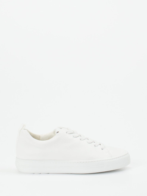 Sneaker-16637990287 Paul Green