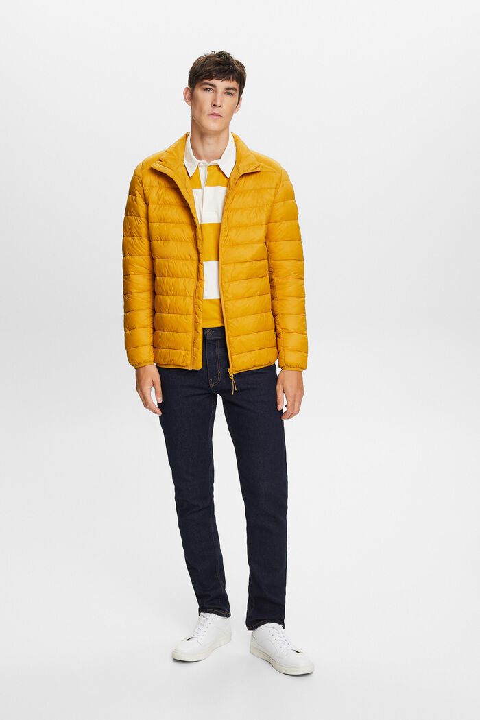 Steppjacke mit hohem Kragen