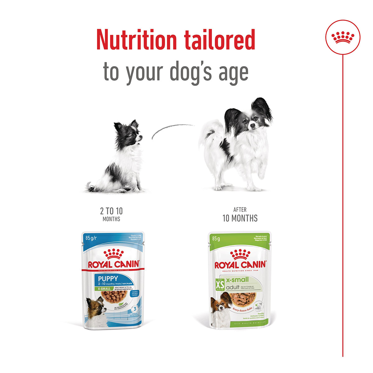 Royal Canin SHN X-Small Adult Gravy günstig kaufen bei ZooRoyal