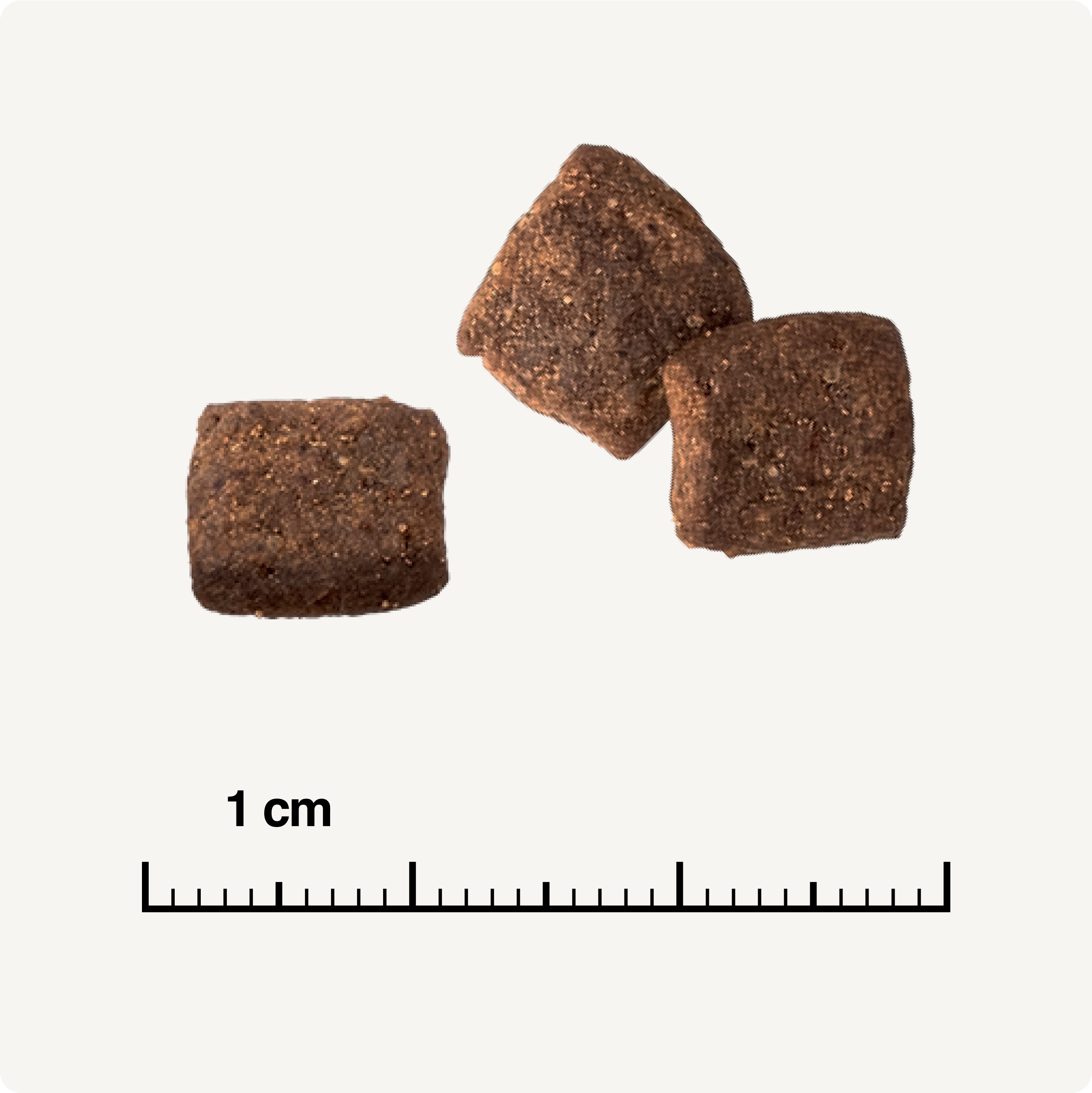 REAL NATURE Trockenfutter REAL NATURE WILDERNESS Pure Beef Adult 7 kg