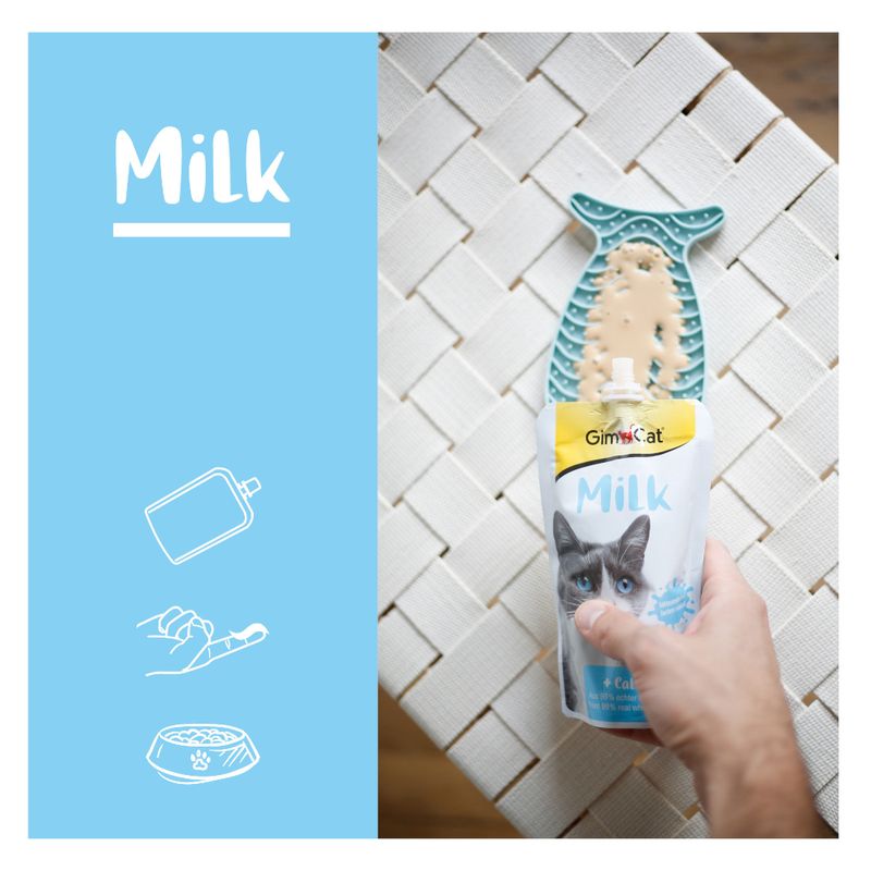 GimCat Milch zu TOP-Preisen