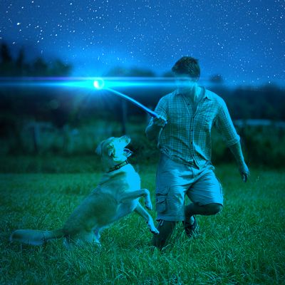 Chuckit! Max Glow Ball